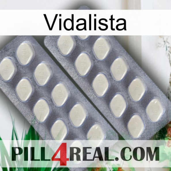 Vidalista 07.jpg